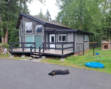 Black dog lying on the ground in front of a house with a wooden deck and pool.